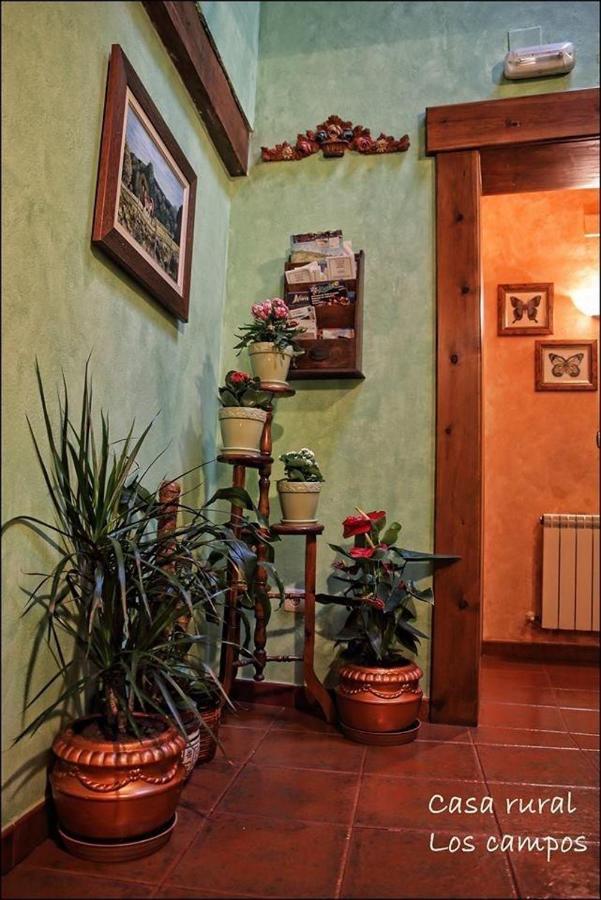 Casa Rural Los Campos Corao Eksteriør bilde