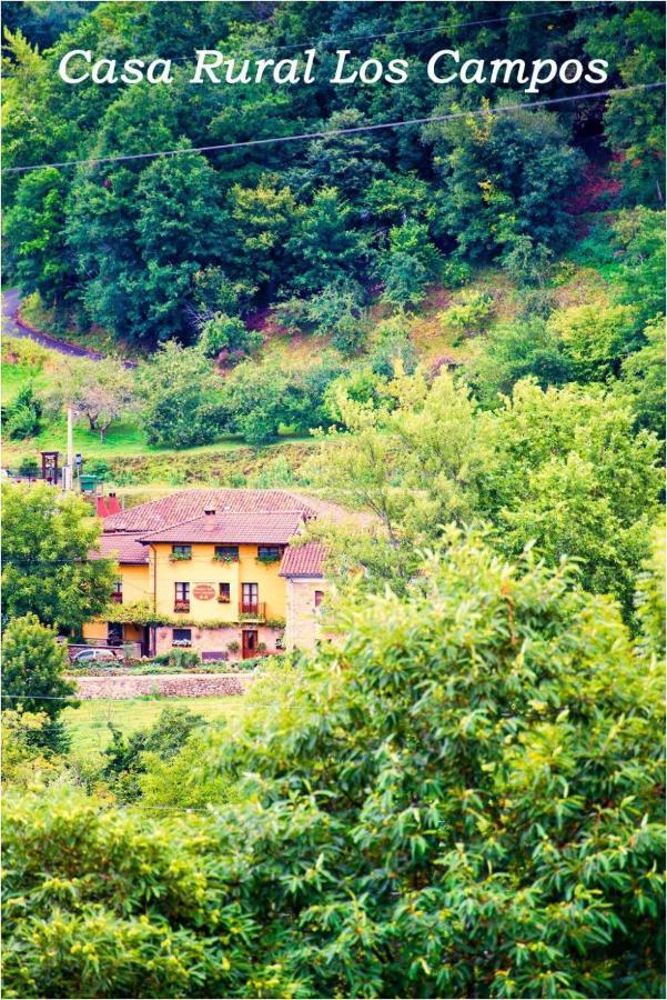 Casa Rural Los Campos Corao Eksteriør bilde