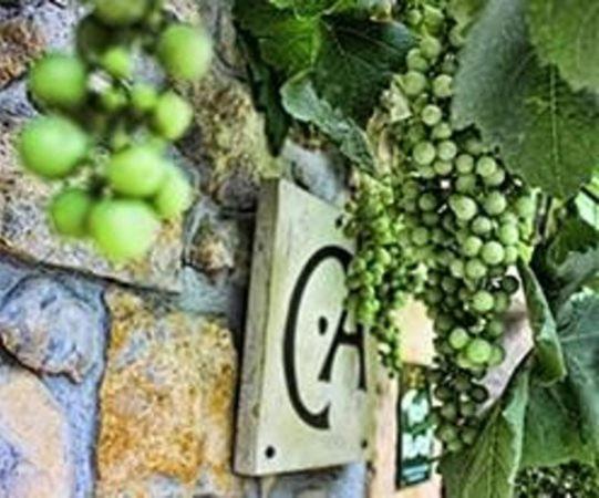 Casa Rural Los Campos Corao Eksteriør bilde