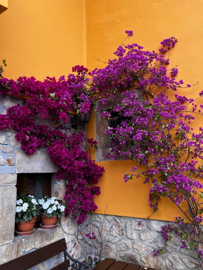 Casa Rural Los Campos Corao Eksteriør bilde